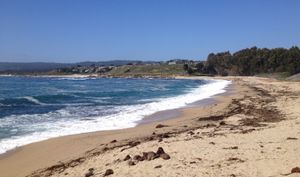 카멜만 해변에서 바라본 모습