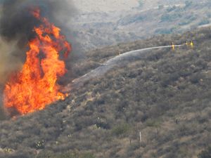 소방관들이 캘리포니아주 어바인 근처에서 화재와 싸우고 있다.