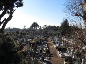 다마 공동묘지는 도쿄 수도권의 중요한 도시 열린 공간이다