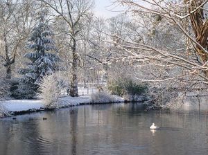 파르크 데 이비스