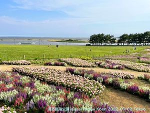 전망 광장의 꽃밭