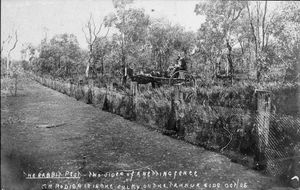1905년 뉴사우스웨일스주 코바의 토끼 방지 울타리의 영향