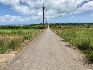 슈가 로드(2019년)