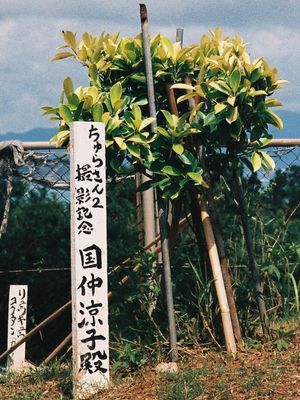 「츄라상 2」 촬영을 기념하여 심은 나무 (코하마 초등학교 및 중학교, 사진의 나무는 히로인인 에리 역의 쿠니나카가 심은 나무)