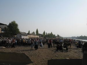 크질자르의 가축 시장