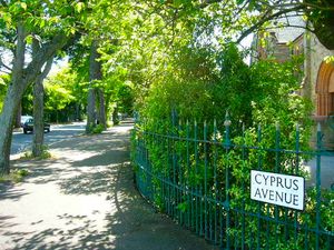 사이프러스 애비뉴 - 이 노래의 영감을 준 벨파스트의 거리