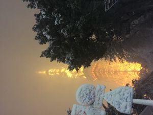 2018년 폭설 동안 도쿄 타워의 빛을 흐리게 하는 할레이션 효과