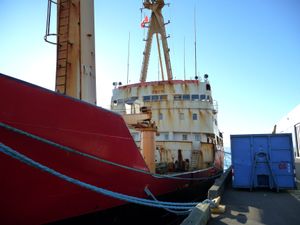 폴라 프린스, 2010