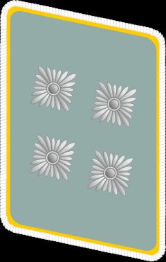 국가사회주의 항공군단(NSFK) 돌격대지도자 계급장