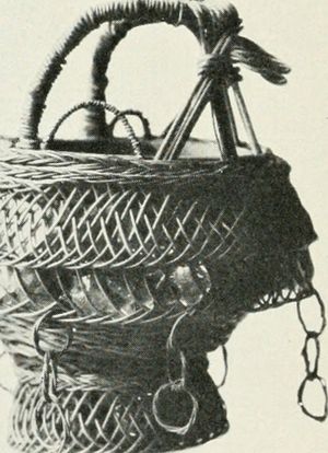 미국의 도기 물주머니