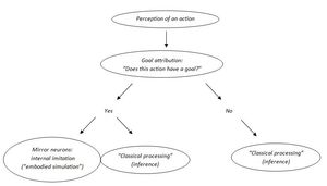 거울 신경 세포는 관찰된 행동의 목표가 다른 뇌 구조에 의해 귀속된 후에만 활성화될 수 있다.