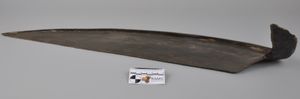 벨기에 케르코베-코우터의 메로빙거 유적에서 발견된 초기 중세 낫 날 (수집 번호: RAMS00393)