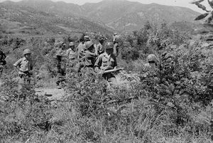 한국 전쟁 유격전