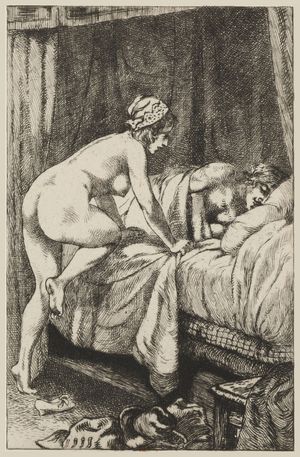 프랑시옹의 진실한 희극 이야기, 마르탱 반 마엘르의 삽화