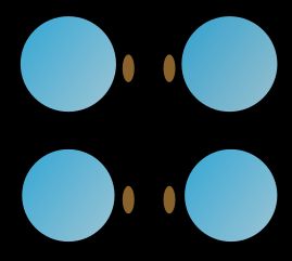 코안경(위)과 옥스퍼드 안경(아래) 비교