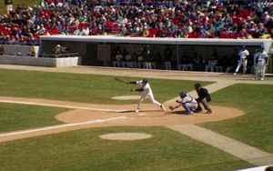 타자와 포수는 일반적으로 파울 지역에 위치하며, 홈 플레이트 심판이 근처에서 볼과 스트라이크를 판정한다.