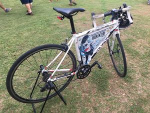 프레임에 칸코레의 히비키가 그려진 인도네시아 탕게랑 남부의 이타차리