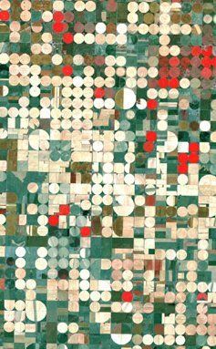 랜드샛 7 위성이 촬영한 관개된 캔자스 주 가든 시티 인근의 간척지.