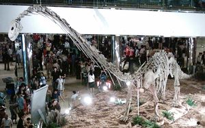 홍콩에 전시된 O. tianfuensis 골격