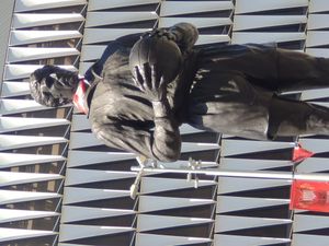 산 마메스 스타디움에 설치된 이리바르의 조각상, 2023년