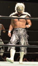 시류(獅龍) (선역 시절)