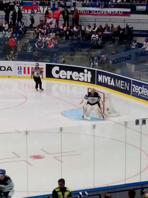 린네가 핀란드 아이스하키 국가대표팀과 함께 2015년 IIHF 세계 선수권 대회에 참가