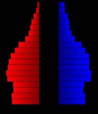 2000년 인구 조사에 따른 프랭클린 군의 인구 피라미드