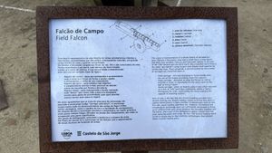 상 조르제 성에 전시된 야전 팔콘에 대한 설명