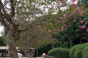 상 카에타누두술의 공원