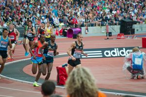 2013년 런던 그랑프리에서 남자 3000m 경기에서 금메달을 획득한 파라