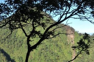 사고기의 충돌 흔적이 남아있는 살락산