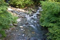 사가세 강 (さがせがわ)