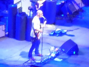 타운젠드가 2014년 맨체스터 아레나에서 더 후와 함께 공연하고 있다