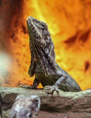 목도리를 접은 모습