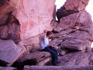 로렌스 반 데르 포스트 패널, 2006