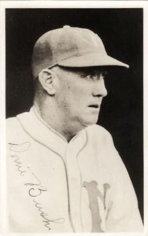 밀러스 감독 시절의 부시