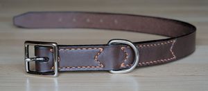 전통적인 버클이 달린 가죽 버클 칼라