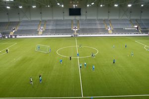 경기장에서 훈련