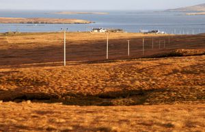 옐섬 동쪽 바스타 근처의 붉은 풀밭에 비치는 겨울 햇살