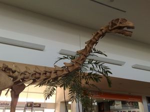 에파크토사우루스