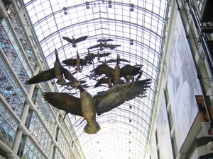 이튼 센터는 천장에 매달린 섬유 유리 캐나다 기러기 조각상들을 특징으로 하며, 이는 마이클 스노우의 예술 설치 작품이다. 이 설치 작품의 이름은 비행 중단이다.