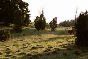 데렌호일레 자연 보호 구역