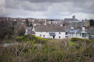 화이트하우스 코티지