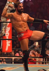 2015년 11월 신일본 프로레슬링에 출연한 피시