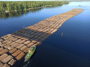 사이마호의 목재 유송.