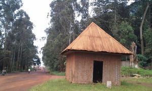 바푸삼의 신성한 족장