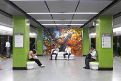 조던역의 작품 "PERSIMMON"