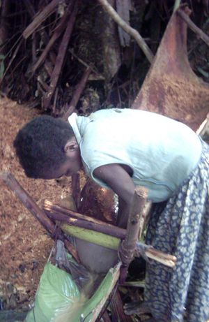 사고 전분 필터