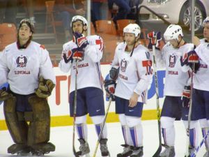 2008년 세계 선수권 대회에서 슬로베니아 선수들