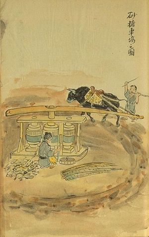 도쿠노시마의 19세기 일본 나무 사탕수수 압착기